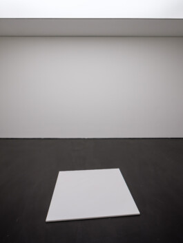 Art by Wolfgang Laib Ernst van Raaphorst