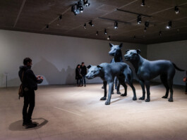 Art by Ron Mueck Ernst van Raaphorst