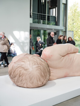 Art by Ron Mueck Ernst van Raaphorst