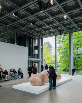 Art by Ron Mueck Ernst van Raaphorst