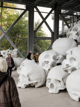 Art by Ron Mueck Ernst van Raaphorst