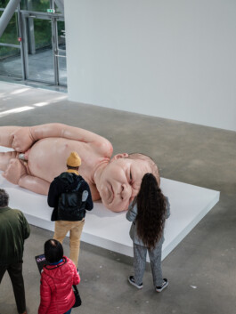 Art by Ron Mueck Ernst van Raaphorst