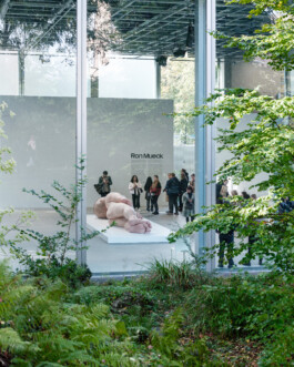 Art by Ron Mueck Ernst van Raaphorst