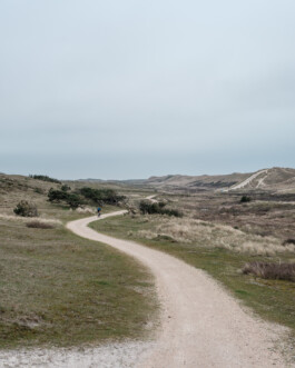 Dunes near Petten Ernst van Raaphorst