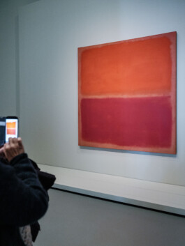 Art by Mark Rothko Ernst van Raaphorst