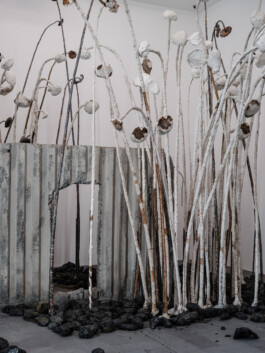 Art by Anselm Kiefer Ernst van Raaphorst