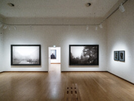 Art by Erwin Olaf Ernst van Raaphorst