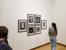 Art by Erwin Olaf Ernst van Raaphorst